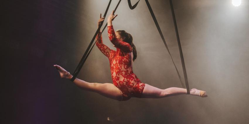 Künstler der Woche: Paulin Raatz