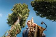 Saxophonist buchen