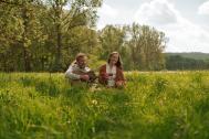 Live Musik buchen