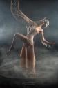 Siegfried Probst Burlesque Show buchen