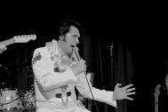 Andy King - Elvis Tribute Künstler