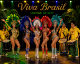 Samba do Brasil