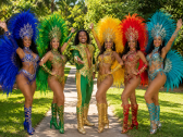 Samba do Brasil