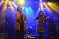 allAcoustic