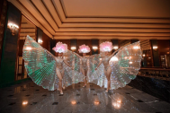 LED Light Show ANGELS