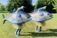 Walking Fishes