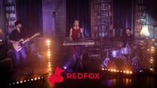 REDFOX I Die Partyband für Ihr Event
