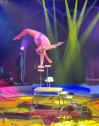 HappyHandstandFreak