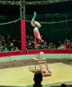HappyHandstandFreak