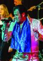 TGB - The Elvis Presley Tribute Band