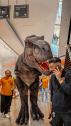 Unser riesiger T-Rex im Einkaufscenter2 Die Dinosaurier-Show