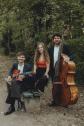 Trio Vinyl