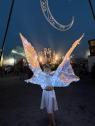 Aerial Arts - Arya