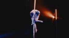 Aerial Arts - Arya