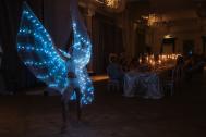 Aerial Arts - Arya