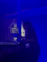 DJane Daytona