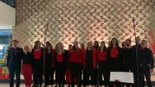 Phoenix Voices
