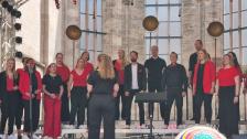 Phoenix Voices