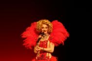 Diven on Tour - Travestieshows