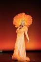 Diven on Tour - Travestieshows