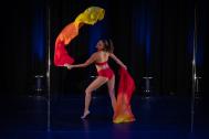 Poledance Artist Antonia