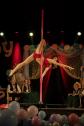 Poledance Artist Antonia