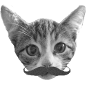 Klezmer Muskel Kater