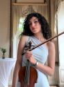 Dorsa Riazi