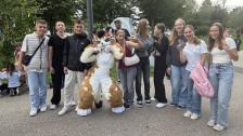 Bavariaa - Tanz Shows (Oktoberfest Show)
