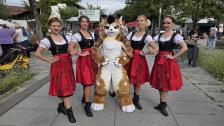 Bavariaa - Tanz Shows (Oktoberfest Show)