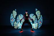 Feuerfuchs - Feuershows &amp; LED-Shows