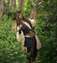 A Pirate&#039;s World