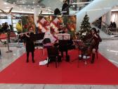Salontrio Stuttgart