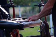 FingerFood-live