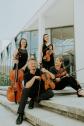 Ignatius Quartett