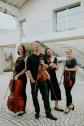 Ignatius Quartett