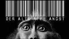 Der Alte Affe Angst Der Alte Affe Angst