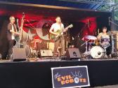 The Evil Robots The Evil Robots