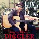 Fat City Rollers' DIGGLER Fat City Rollers' DIGGLER