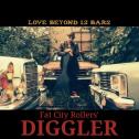 Fat City Rollers' DIGGLER Fat City Rollers' DIGGLER