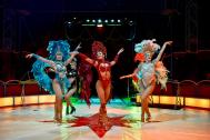 I´m Art Showdancers