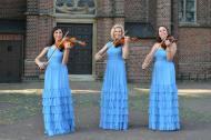 Streichensemble Streichensemble
