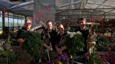 Elbsandsteiner Blasmusikanten – Blasmusik zur Veranstaltung inmitten der Sebnitzer Blumenwelt Elbsandsteiner Blasmusikanten