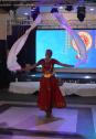 Indian Fusion Dance - Fächerschleier JAVAL