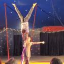Partner Acrobatic Johanna Orlitzky