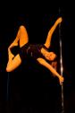 Human Flag Johanna Orlitzky