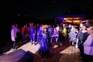 Pamela O&#039;Neal Tina-Turner Tribute Show
