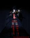 Esmeralda Geigerin / Show-Violinistin