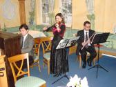 Kursaalstuben Neujahrskonzert Diana Bube, Violine classic § musical