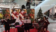 Reutlingen Weihnachten Diana Bube, Violine classic § musical